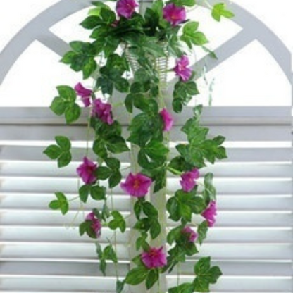 Simulation Plant Morning Glory Rattan